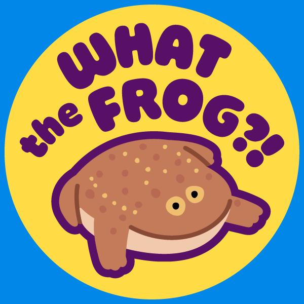 what the frog?!