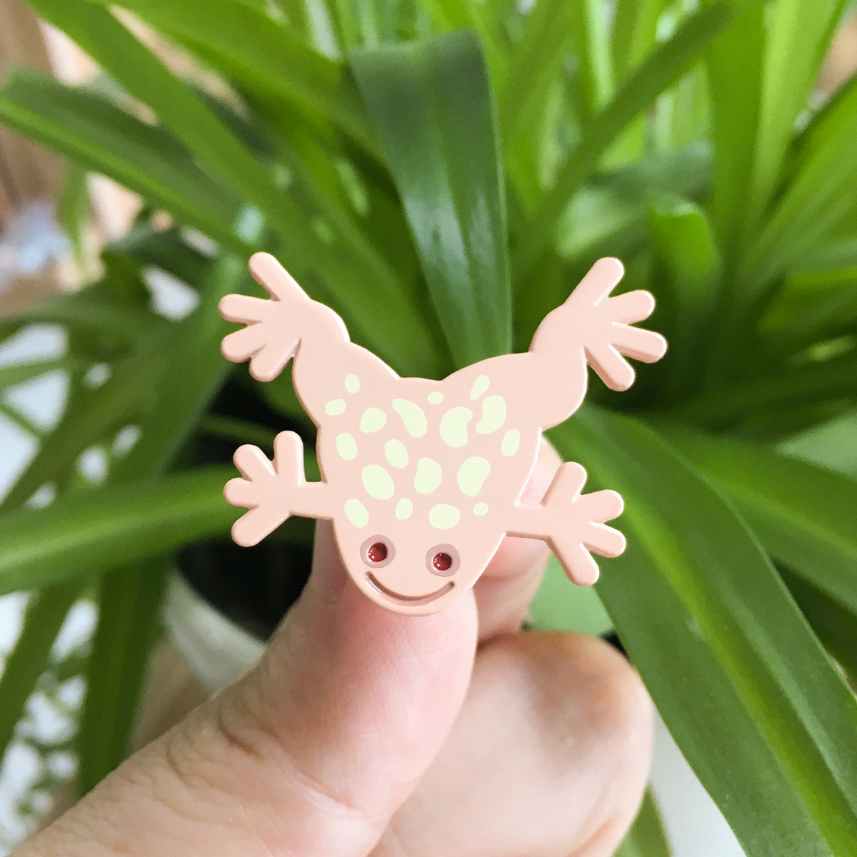 chicken pin (albino African clawed frog)