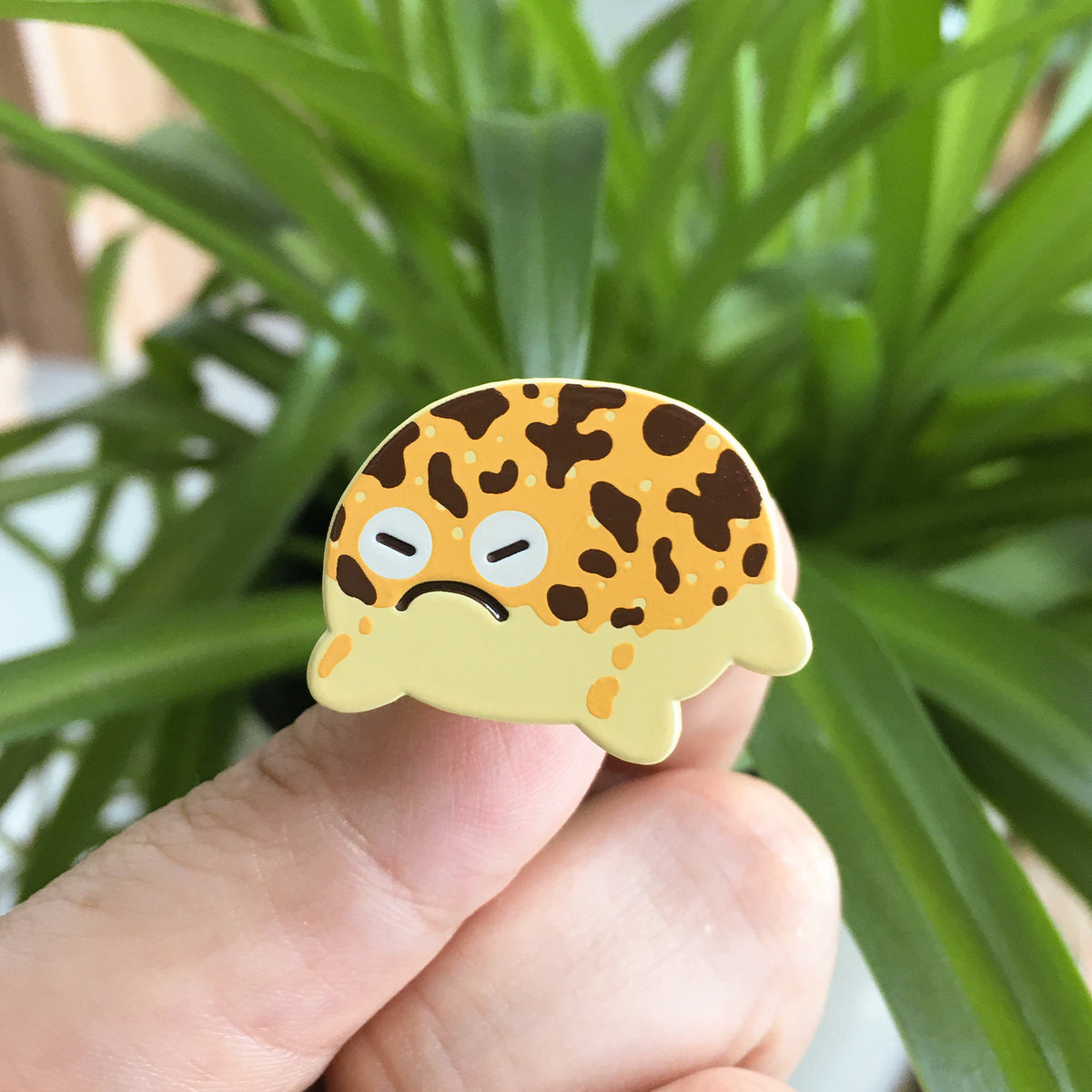 squeaker pin (Desert rain frog)