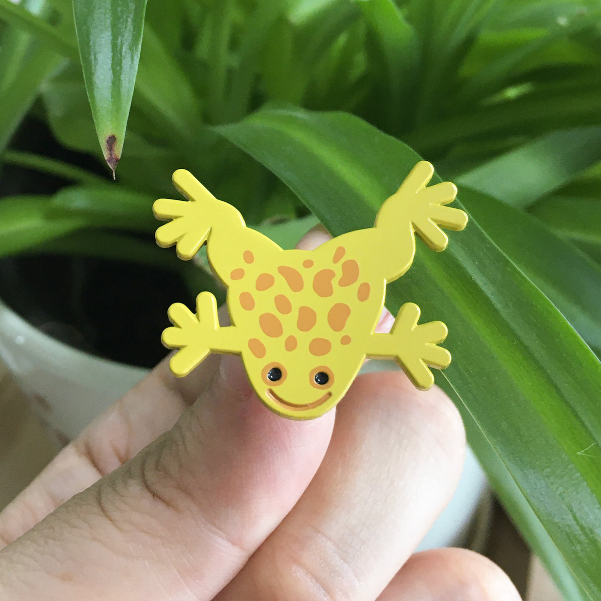 olive pin (African clawed frog)