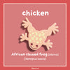 chicken pin (albino African clawed frog)