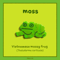moss pin (Vietnamese mossy frog)