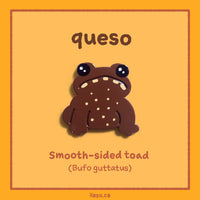 queso pin (Smooth-sided toad)
