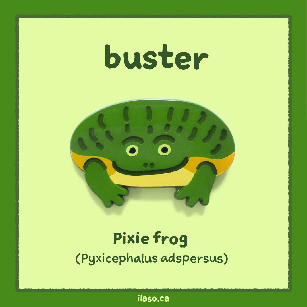 buster pin (pixie frog)