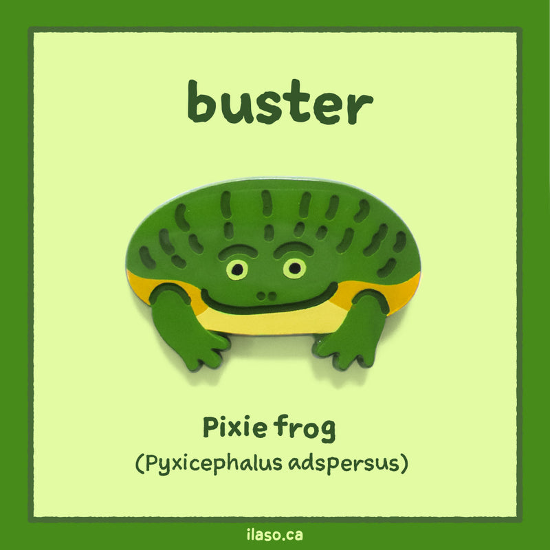 buster pin (pixie frog)