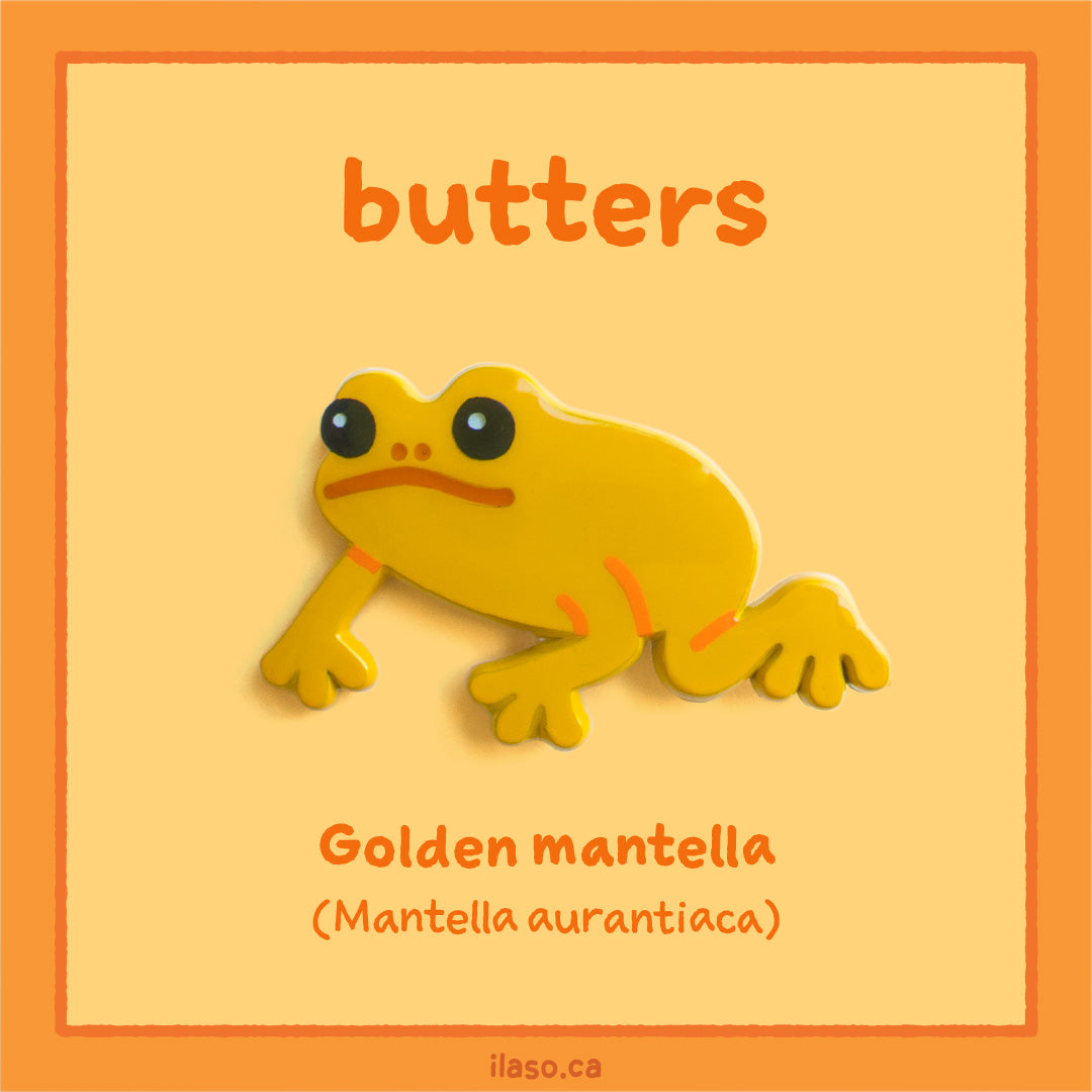 butters pin (golden mantella)