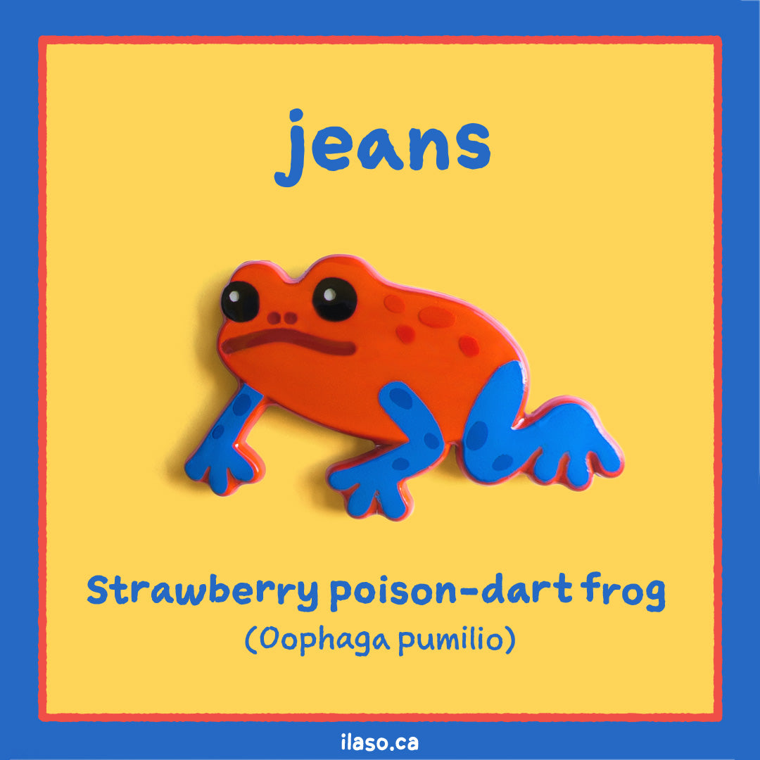 jeans pin (strawberry poison-dart frog)