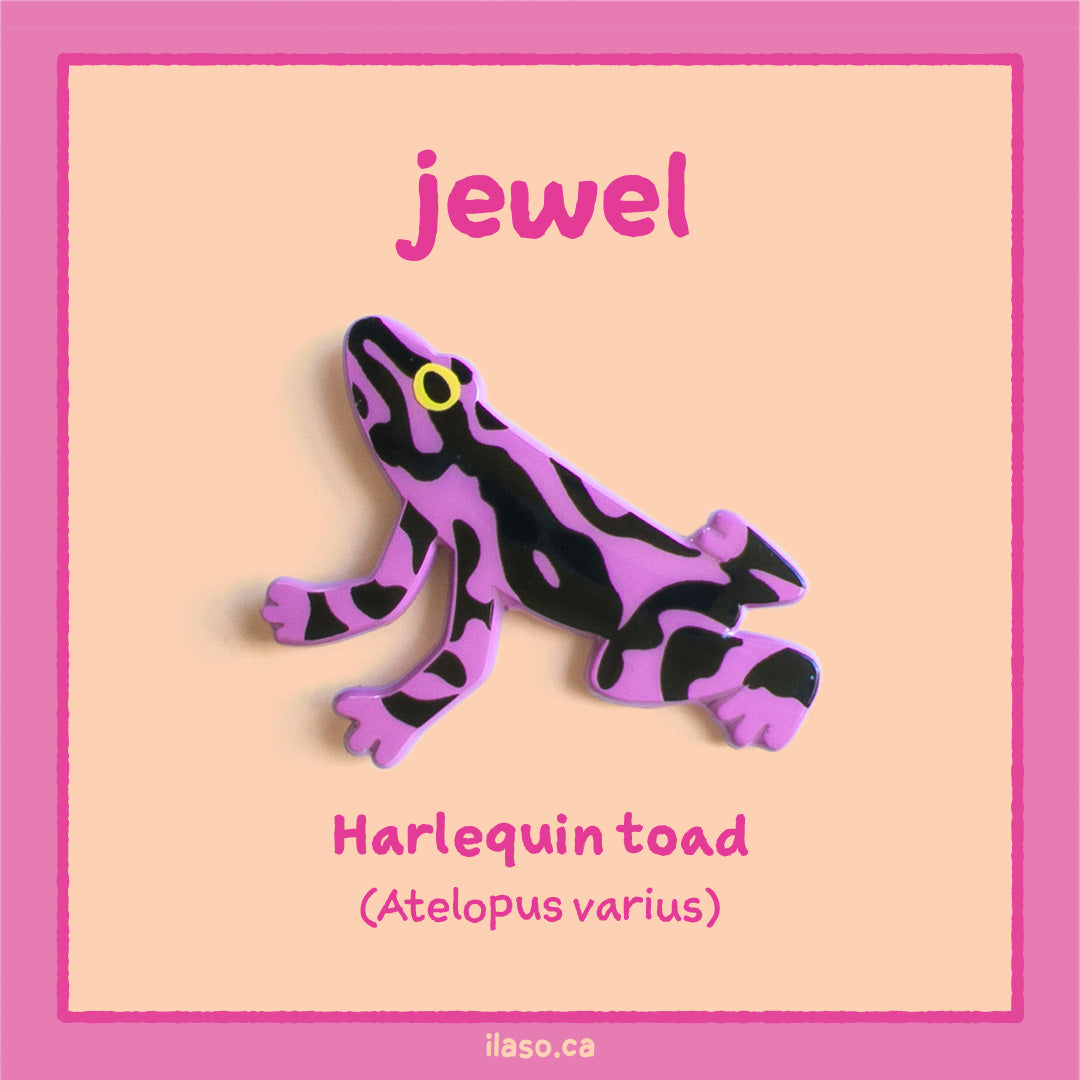 jewel pin (harlequin toad)