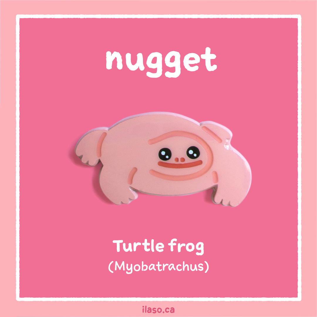 nugget pin (turtle frog)