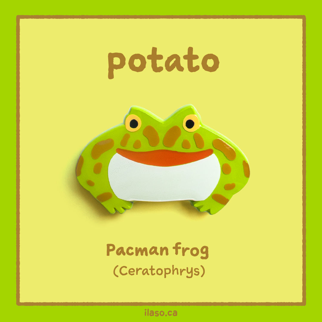 potato pin (pacman frog)