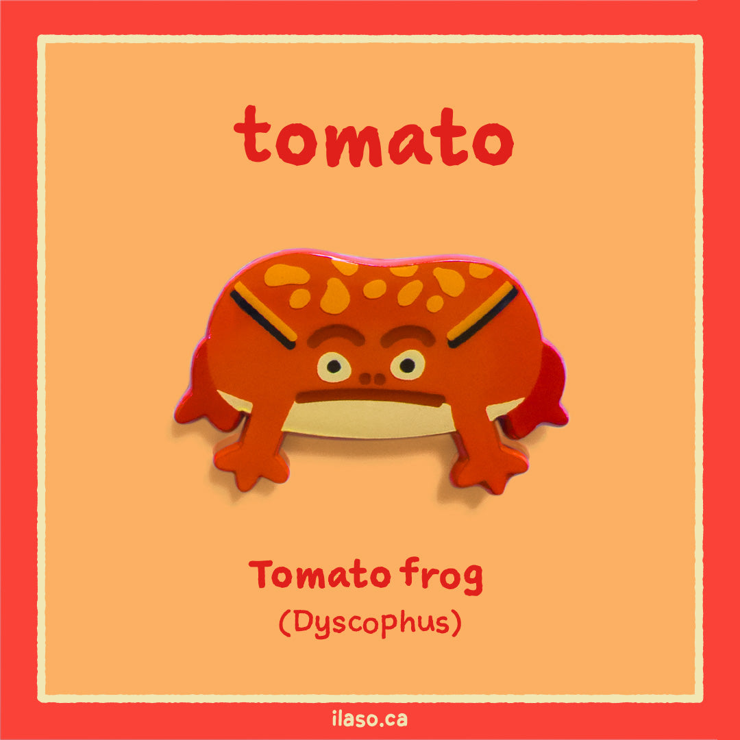 tomato pin (tomato frog)